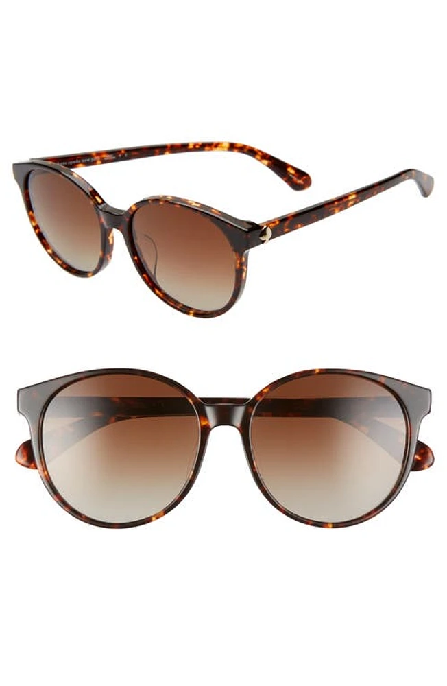 Kate Spade New York eliza 55mm polarized round sunglasses in Dkhavana/Brown Grad Polz at Nordstrom