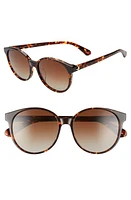 Kate Spade New York eliza 55mm polarized round sunglasses in Dkhavana/Brown Grad Polz at Nordstrom