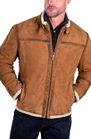 Comstock & Co. Montana Suede Jacket with Genuine Shearling Trim in Fawn at Nordstrom, Size 46