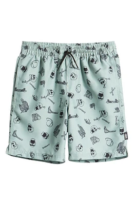 Vans Kids' Primary Swim Trunks Iceberg Green at