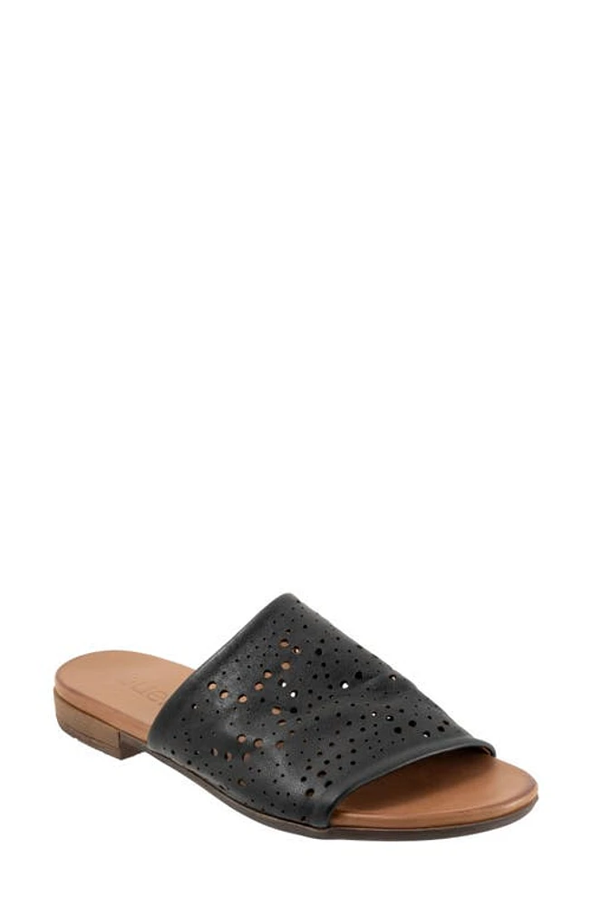 Bueno Turner Perforated Slide Sandal at Nordstrom