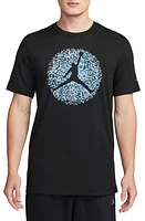 Jordan Pointillism Jumpman Graphic T-Shirt at Nordstrom,