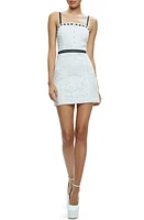 Alice + Olivia Matilda Lace Minidress in Off White/Black at Nordstrom, Size 6