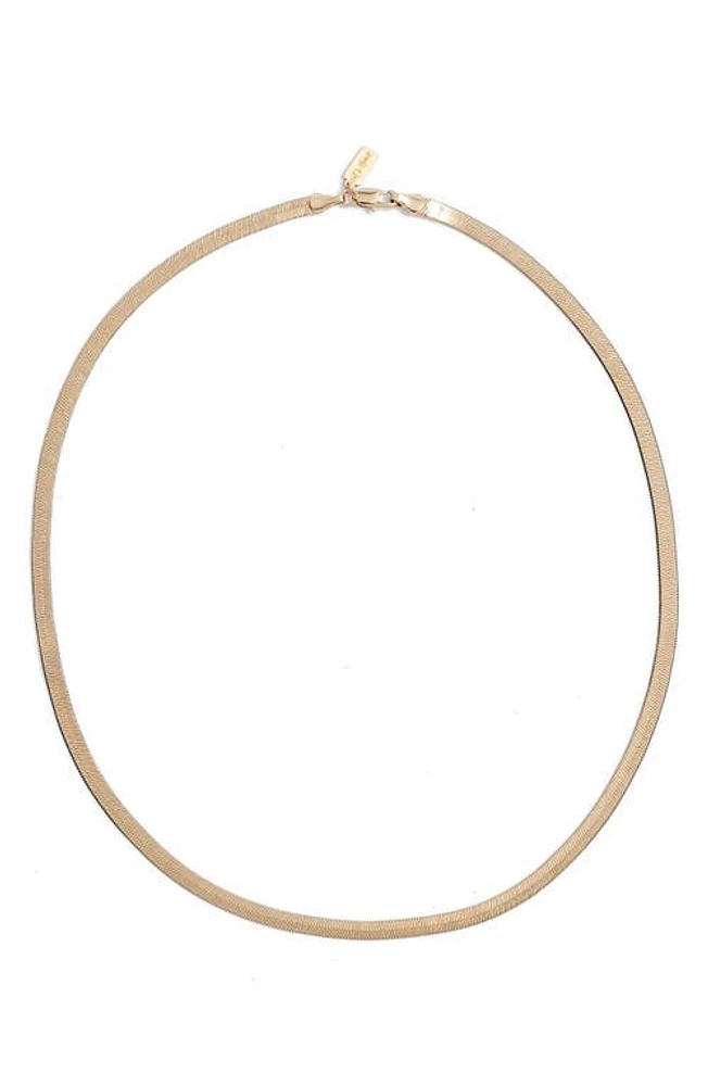 Set & Stones Clea Long Chain Necklace in Gold 3Mm at Nordstrom