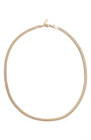 Set & Stones Clea Long Chain Necklace in Gold 3Mm at Nordstrom