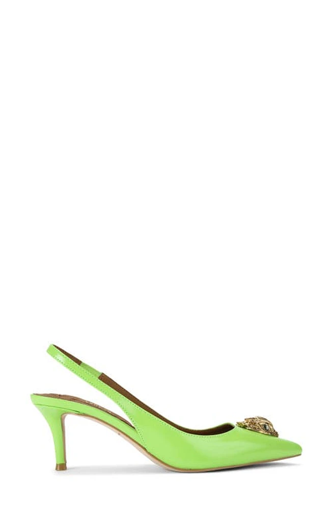 Kurt Geiger London Belgravia Slingback Pointed Toe Pump Bright Green at Nordstrom,