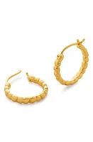 Monica Vinader Nura Teardrop Huggie Hoop Earrings in 18Ct Gold Vermeil On Sterling at Nordstrom