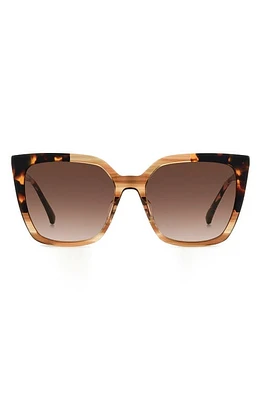 Kate Spade New York marlowe 55mm gradient square sunglasses in Horn Beige/Brown Gradient at Nordstrom