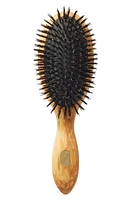 Altesse Beaute Classic Repair & Shine Brush for Thick or Curly Hair at Nordstrom