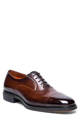 Santoni Cap Toe Oxford Dark Brown at Nordstrom,