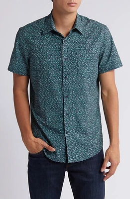 Nordstrom Trim Fit Leaf Print Short Sleeve Cotton Button-Up Shirt Ditsy at Nordstrom,