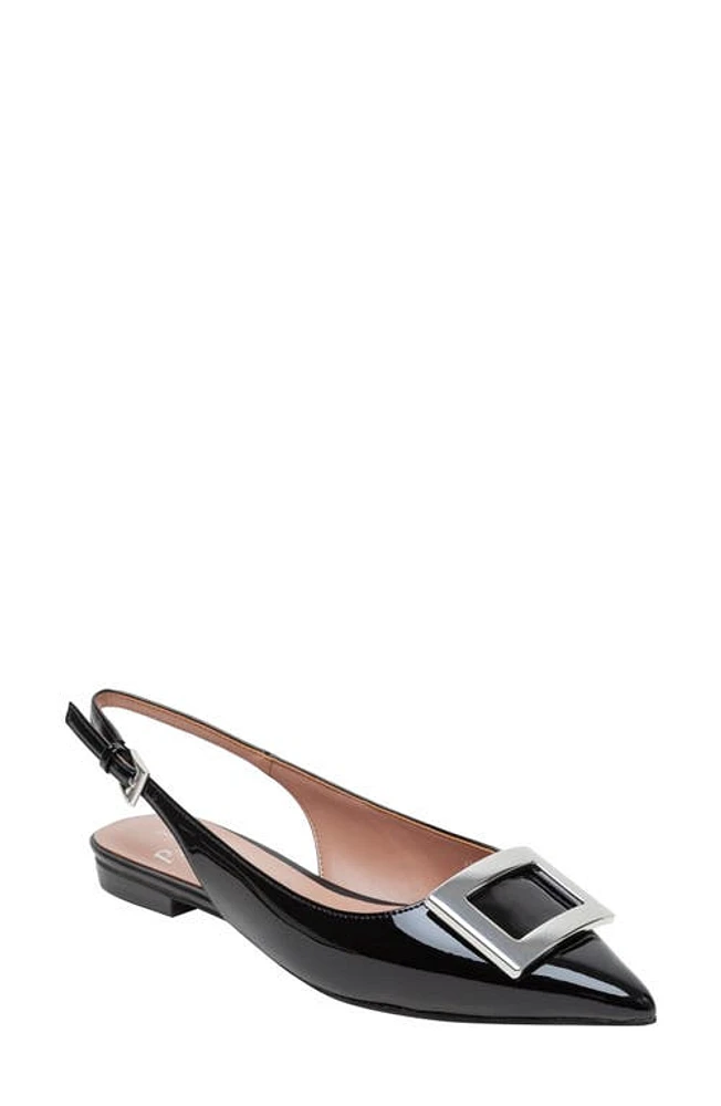 Linea Paolo Delica Slingback Pointed Toe Flat at Nordstrom,