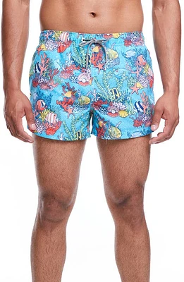 Boardies Coral Reef Shortie Swim Trunks Blue at Nordstrom,