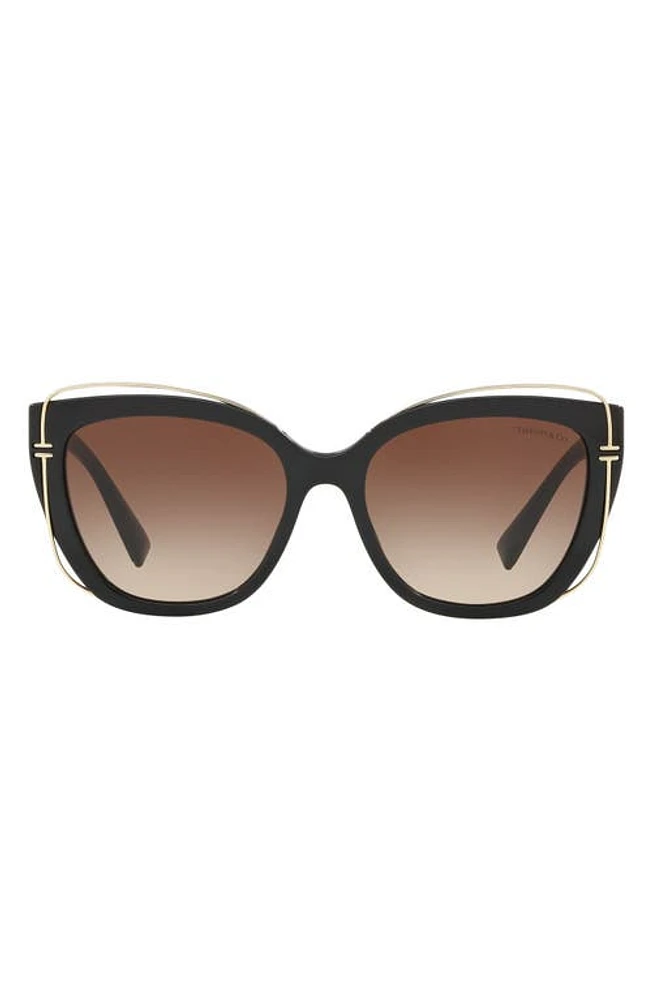 Tiffany & Co. 54mm Gradient Cat Eye Sunglasses in Black Gradient at Nordstrom