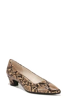 LifeStride Minx Pointed Toe Pump Mocha at Nordstrom,