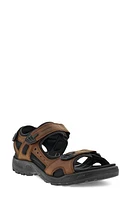 ECCO Yucatan Plus Sandal in Sierra at Nordstrom, Size 7-7.5Us