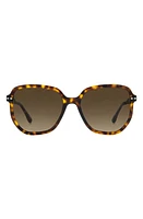 Isabel Marant 52mm Round Sunglasses in Havana Brown/Gradient at Nordstrom