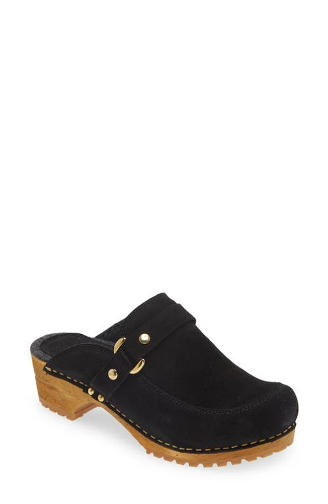 Sanita Lissy Clog at Nordstrom,