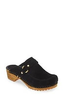 Sanita Lissy Clog at Nordstrom,