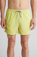 Open Edit Recycled Volley Swim Trunks at Nordstrom,