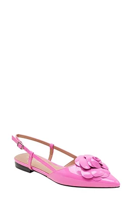 Linea Paolo Cammy Slingback Pointed Toe Flat at Nordstrom,