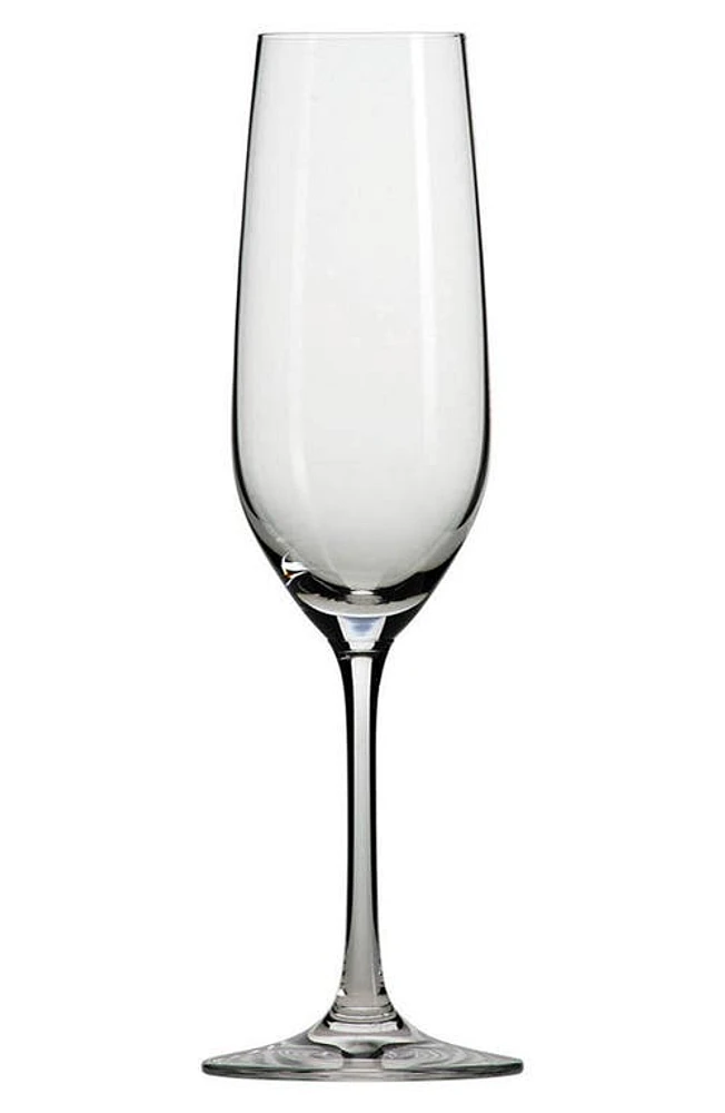 Schott Zwiesel Set of 6 Forte Champagne Flutes in Clear at Nordstrom