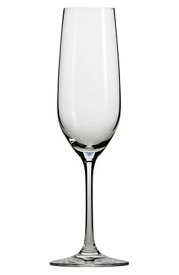 Schott Zwiesel Set of 6 Forte Champagne Flutes in Clear at Nordstrom