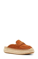 Kate Spade New York eastwell mule Sandalwood at Nordstrom,