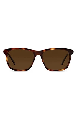 Vincero Presley 56mm Polarized Rectangle Sunglasses in Rye Tortoise Brown at Nordstrom