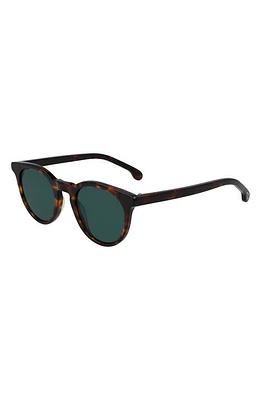 Paul Smith Archer 47mm Round Sunglasses in Tortoise at Nordstrom