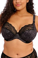 Elomi Lucie Full Figure Underwire Plunge Bra at Nordstrom,