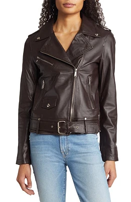 Sam Edelman Belted Moto Jacket Brown at Nordstrom,