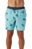 O'Neill Hermosa Swim Trunks at Nordstrom,