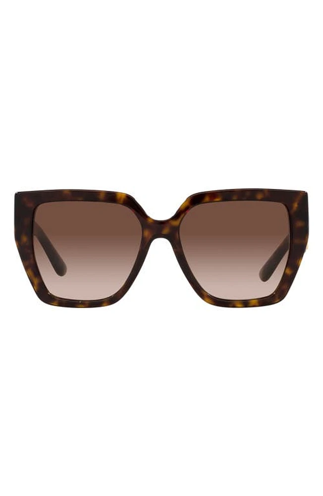 Dolce & Gabbana 55mm Gradient Square Sunglasses in Havana at Nordstrom