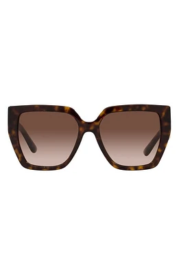 Dolce & Gabbana 55mm Gradient Square Sunglasses in Havana at Nordstrom