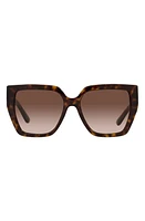 Dolce & Gabbana 55mm Gradient Square Sunglasses in Havana at Nordstrom