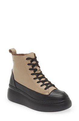 Wonders Platform High Top Sneaker Black Taupe at Nordstrom,