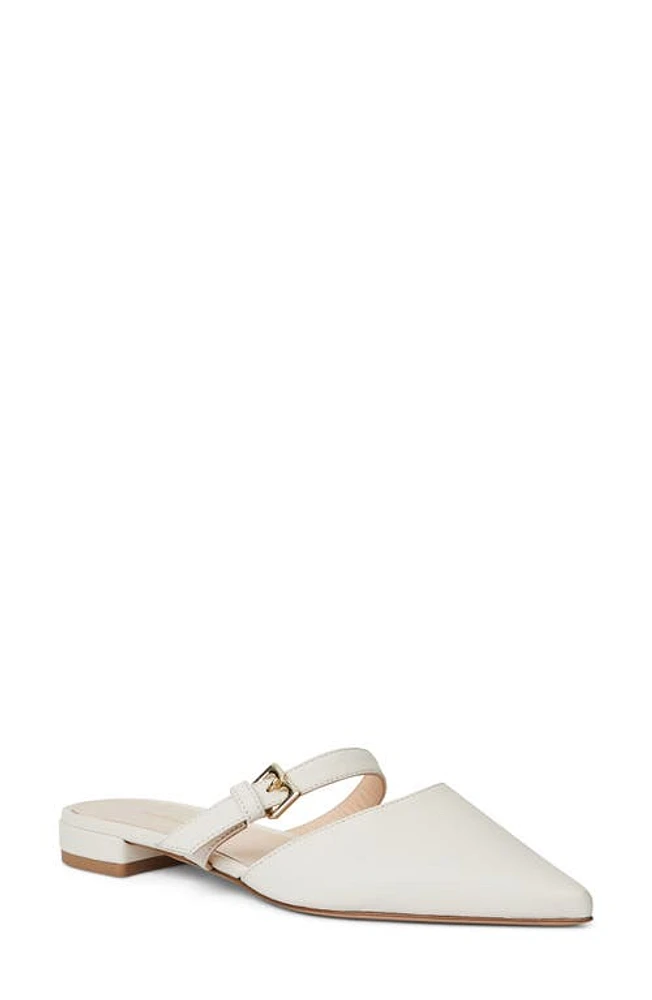 Bruno Magli Pasha Mule Bone at Nordstrom,