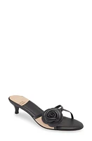 Jeffrey Campbell Gloriosa Kitten Heel Slide Sandal Black Natural at Nordstrom,