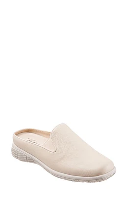 Trotters Uma Mule Bone at Nordstrom,