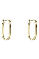 Argento Vivo Sterling Silver Oval Hoop Earrings in Gold at Nordstrom