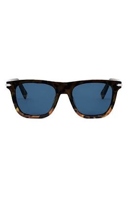 'DiorBlackSuit S13I 53mm Geometric Sunglasses in Havana/Black/Blue at Nordstrom