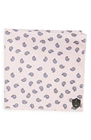 CLIFTON WILSON Paisley Cotton Pocket Square in Pink at Nordstrom