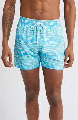 Chubbies The Apex Swimmers Swim Trunks Turquoise/aqua at Nordstrom,