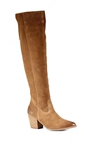 Diba True Cinna Knee High Pointed Toe Boot at Nordstrom,