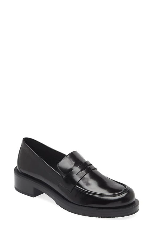 Stuart Weitzman Palmer Bold Loafer at Nordstrom,