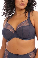 Elomi Charley Full Figure Underwire Plunge Bra at Nordstrom,