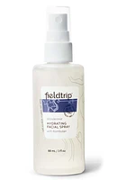 Fieldtrip Wandermist Hydrating Facial Spray at Nordstrom