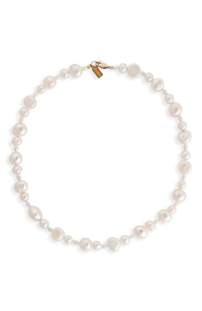 Set & Stones Bowie Freshwater Pearl Necklace in Gold at Nordstrom, Size 16