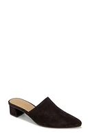 Splendid Lorelei Mule in Dark Chocolate at Nordstrom, Size 7.5